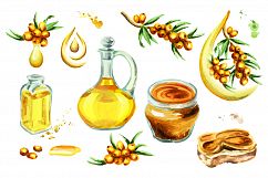 Sea buckthorn. Watercolor Product Image 2