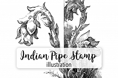 Indian Pipe Flowers- Vintage Florals Product Image 1