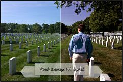 In Memoriam Profiles LR7.3 ACR10.3 Product Image 20