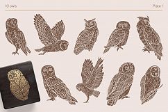 Owls Stories collection Product Image 2