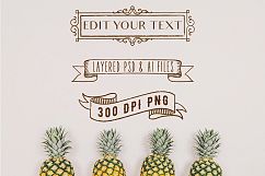 PSD Overlays Labels, Frames, Banners Product Image 2
