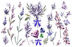Beautiful watercolor Lavender Product Image 2