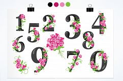Floral Numbers graphics and illustrations Product Image 2