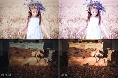 Caramel Lr Presets Product Image 4