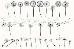 Dandelions Product Image 2