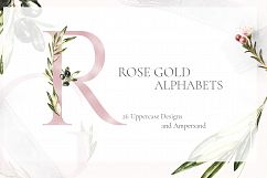 Grace &amp; Glory Botanical Alphabet Olive Watercolor Product Image 23