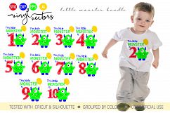 Little Birthday Monster Bundle SVG DXF Cut Ready Files Product Image 1
