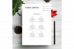 Professional Resume Template CV Product Image 3