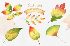 Watercolor Autumn Clipart Collection Product Image 4