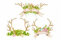 Watercolor Antlers and succulents Product Image 4