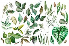 Hand Drawn watercolor Forest Product Image 2