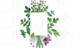 Herbs and Spices frames watercolor clip art pack, watercolor herb leaves borders. PNG, jpg, svg, vector illustrator &amp; corel files included Product Image 4