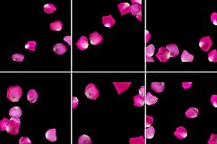 Rose Petal Overlay Product Image 7