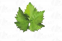 Grapes clip art watercolor wine grape, branch, flowers, leaf Product Image 27