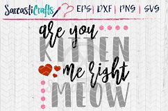 Are You Kitten Me Right Meow- Digital Download Product Image 1