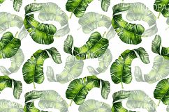 16 Hand Drawn Watercolor Pattern Product Image 4