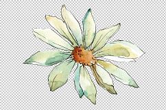 White daisy PNG watercolor flower set Product Image 4