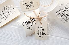 Thank You Calligraphy Lettering Collection Product Image 8