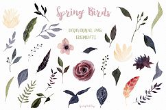 Spring birds Big watercolor clipart Product Image 3