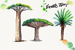 watercolor exotic trees Product Image 5