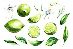 Lime. Watercolor collection Product Image 2