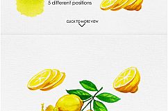 Watercolor Fruits Vol. 4 Product Image 5