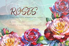 Realistic watercolor red roses PNG set Product Image 1