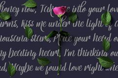 Reebiolla Brush Font Product Image 4