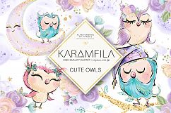 Cute Owls Clipart Product Image 1