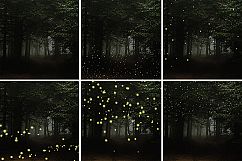 Firefly Overlays Product Image 3