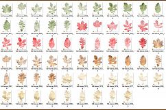 Fall Leaves Clipart Product Image 3