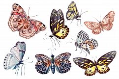 Beautiful watercolor butterflies Product Image 2