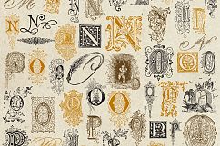 Vintage Vector Letters &amp; Monograms Product Image 2