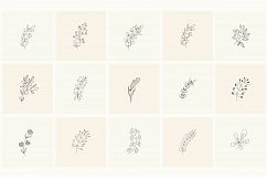 165 Hand Drawn Floral Elements, Frames. Product Image 13