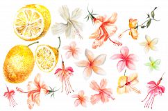 Hand Drawn watercolor TROPICS Product Image 3