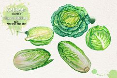 Watercolor Vegetables, Herbs Product Image 5