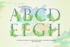 Watercolor Olive Branch Product Image 6