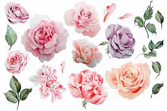 Hand drawn watercolor roses 2 Product Image 2