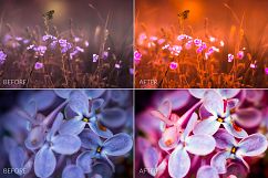 Dreamy Colors Lr Presets Product Image 4
