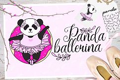 Panda Ballerina Set Product Image 1