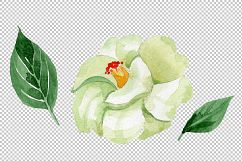 White camellia wildflower PNG watercolor set Product Image 2