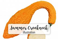 Summer Crookneck - Vintage Illustration Product Image 1