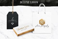 Deluxe Logo Creator Kit for Photoshop with ready made templates Product Image 2