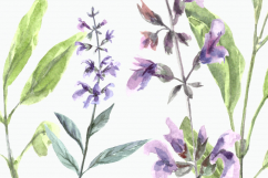 Watercolor Purple Sage Clip Art Set Product Image 4