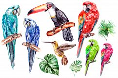 Hand Drawn watercolor TROPICS Product Image 2