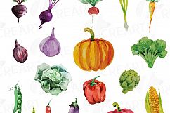 Watercolor Vegetables clip art pack, green and colorful vegetables. Healthy Food, eps png, jpg, svg, vector files included, instant download Product Image 2