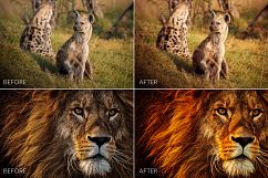Africa Lr Presets Product Image 4