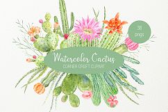 Watercolor clipart cactus for instant download  Product Image 1