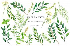 Floral Watercolor Bundle Product Image 9