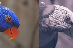 Mixed Bundle - 2018 Lightroom Presets Product Image 6
